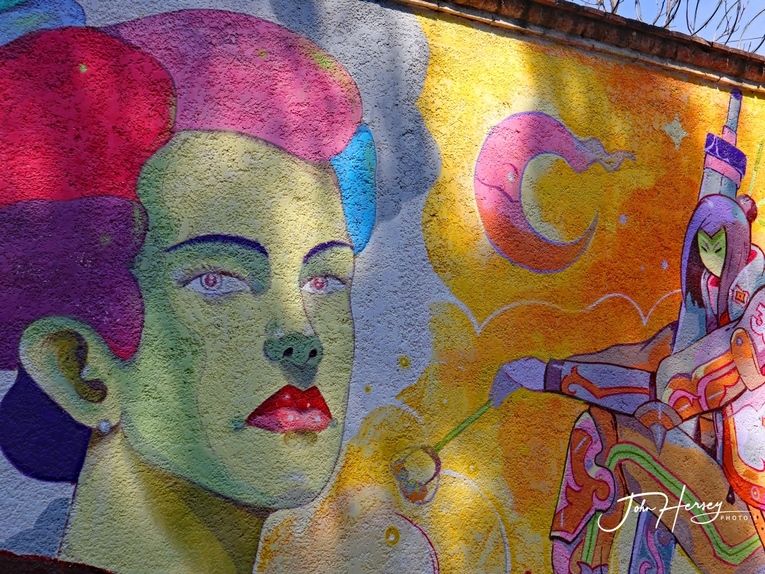 sma street art tour_2020 Mar 12_Frida_edited-2